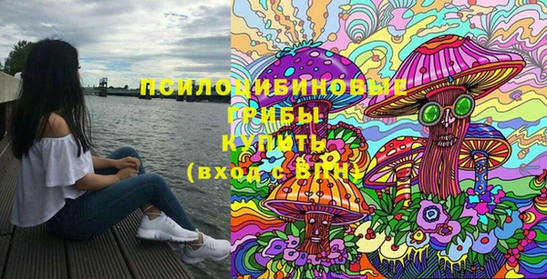 спиды Богородицк