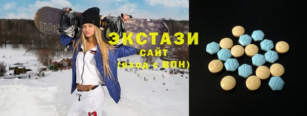 спиды Богородицк