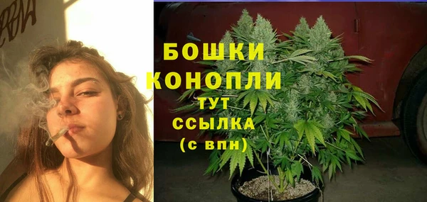 МДМА Бородино