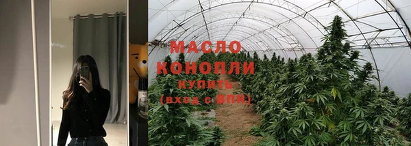 спиды Богородицк