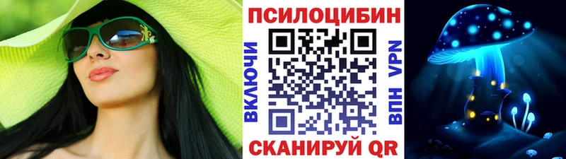 Галлюциногенные грибы мухоморы  купить закладку  Нерюнгри 