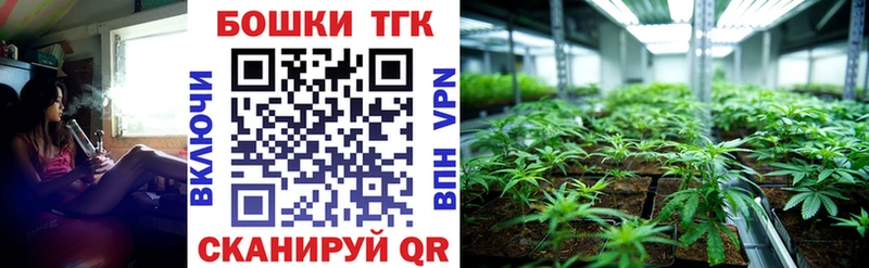 это наркотические препараты  ссылка на мегу tor  Бошки Шишки AK-47  Нерюнгри  цены наркотик 